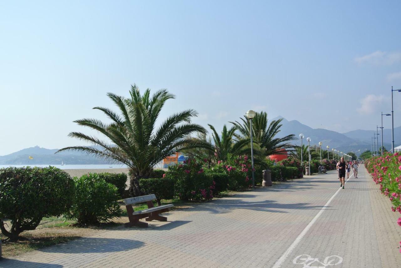 Appartement Annie Llense Argelès-sur-Mer Exterior foto